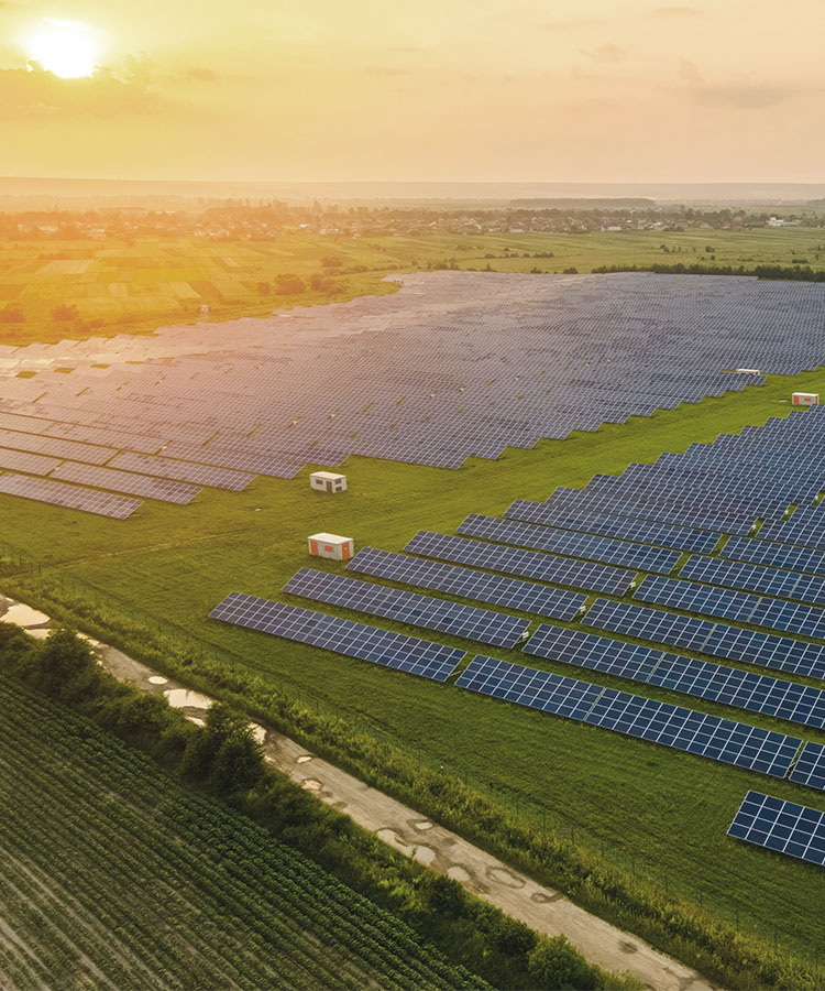 Freiflächen-Solaranlage bei Sonnenschein